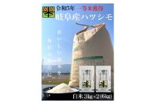 岐阜県養老町産　令和5年産　ハツシモSL　一等米　白米　3kg×2(6kg)【1498746】
