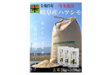 岐阜県養老町産　令和5年産　ハツシモSL　玄米　3kg×3(9kg)【1499301】