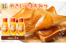 岐阜県産 やさしいはちみつ250g×3本【1501897】