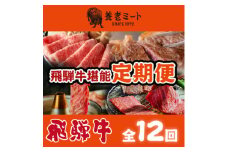 ＜毎月定期便＞月替わりで色々な飛騨牛を楽しめる全12回_ 飛騨牛 牛肉 定期便 肉 黒毛和牛 国産牛 ブランド牛 霜降り ステーキ すきやき すき焼き しゃぶしゃぶ 切り落とし 切り落し 焼肉 BBQ ギフト プレゼント 自宅用 【4051412】