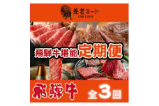 ＜毎月定期便＞月替わりで色々な飛騨牛を楽しめる全3回_ 飛騨牛 牛肉 定期便 肉 黒毛和牛 国産牛 ブランド牛 霜降り ステーキ すきやき すき焼き しゃぶしゃぶ 牛 にく ロース モモ カタ 贈答 ギフト プレゼント 自宅用 【4051413】