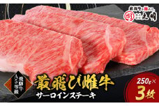 ＜最飛び雌牛＞飛騨牛A5等級サーロインステーキ　250g×3枚【1520145】