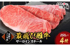 ＜最飛び雌牛＞飛騨牛A5等級サーロインステーキ　250g×4枚【1520146】