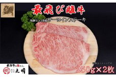 ＜最飛び雌牛＞飛騨牛A5等級サーロインステーキ　250g×2枚【1520149】