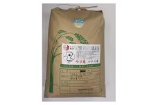 令和6年岐阜県養老産ケリ米ハツシモ　白米10kg【1512096】