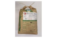 令和6年岐阜県養老産ケリ米ハツシモ　白米5kg【1512097】