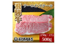 ＜飛騨牛＞サーロインステーキ 2枚入り/1枚約250g【1420282】