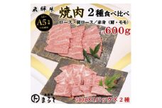 ＜飛騨牛＞焼き肉2種食べ比べセット各300g入　合計600g【1614115】
