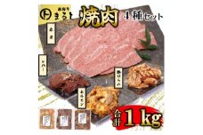 ＜飛騨牛＞焼肉4種B-2セット　赤身肉と味付けホルモンなど　合計1kg【1616675】