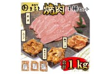 ＜飛騨牛＞焼肉4種B-3セット　赤身肉と味付けホルモンなど　合計1kg【1616690】