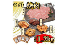 ＜飛騨牛＞焼肉5種セット　赤身焼肉&味付け牛ホルモンなど　合計1.2kg【1616701】