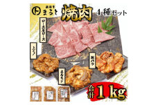 ＜飛騨牛＞焼肉4種セット　ロース・肩ロースと味付けホルモンなど　合計1kg【1616704】