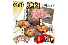 ＜飛騨牛＞焼肉5種セットA-5　ロース・肩ロースと味付けホルモンなど　合計1.2kg【1619901】