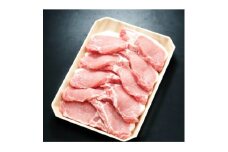 養老山麓豚 ロース とんかつ・テキカツ用 1kg(100g×10枚)【1634046】