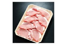 養老山麓豚 ロース とんかつ・テキカツ用 800g(100g×8枚)【1634047】