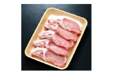 養老山麓豚 ロース とんかつ・テキカツ用 500g(100g×5枚)【1634048】