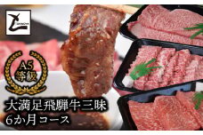 大満足飛騨牛三昧6か月コース