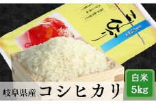 ≪令和7年産≫【新米】 岐阜 コシヒカリ 約5kg