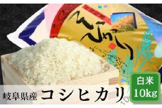 ≪令和6年産≫ 岐阜 コシヒカリ 約10kg