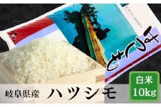 ≪令和6年産≫ 岐阜 ハツシモ 約10kg