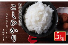 ≪令和6年産≫ ほたるの集う田んぼの米 こしひかり 約5kg