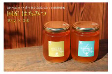 国産はちみつ300g 2本セット