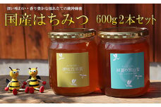 国産はちみつ600g2本セット