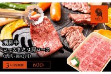 【3か月定期便】【飛騨牛】ロースまたは肩ロース600g (焼肉・BBQ用)