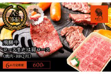 【6か月定期便】【飛騨牛】ロースまたは肩ロース600g (焼肉・BBQ用)