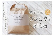 【令和6年産】 T rice Store 岐阜県産 コシヒカリ（玄米） 約10kg