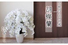 【造花】胡蝶蘭 15本立