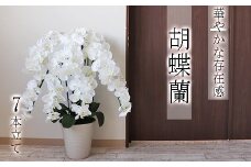 【造花】胡蝶蘭 7本立