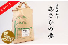 ≪令和6年産≫ 垂井町産 あさひの夢 5kg