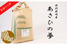 ≪令和6年産≫ 垂井町産 あさひの夢 10kg