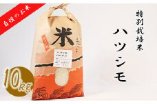≪令和6年産≫ 【特別栽培米】 垂井町産 ハツシモ 10kg