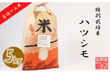≪令和6年産≫ 【6か月定期便】 【特別栽培米】 垂井町産 ハツシモ (5kg×6回）