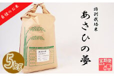 ≪令和6年産≫ 【6か月定期便】垂井町産 あさひの夢 (5kg×6回）