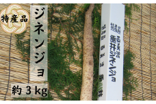 特産品 西美濃 垂井ジネンジョ約3kg