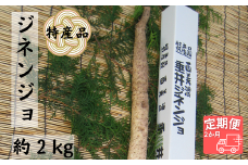 【2か月定期便】特産品 西美濃 垂井ジネンジョ約2kg
