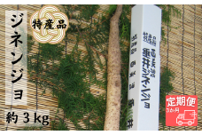 【3か月定期便】特産品 西美濃 垂井ジネンジョ約3kg