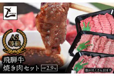 A5飛騨牛焼き肉セット（合計2.9kg）