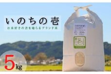 ≪令和6年産≫ 【特別栽培米】 垂井町産 いのちの壱 5kg
