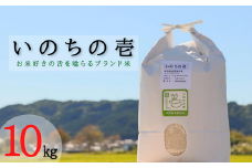 ≪令和6年産≫ 【特別栽培米】 垂井町産 いのちの壱 10kg