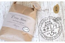 【数量限定】《令和7年産》《新米》 T rice Store 岐阜県産 モチミノリ（玄米） 5kg | 垂井町産 もちごめ もち米 餅米 玄米 高品質 安心 安全 リピーター多数 贈答用 贈り物 ギフト プレゼント おしゃれ 人気