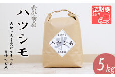≪令和6年産≫ 【3か月定期便】岐阜県産ハツシモ5kg