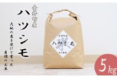 ≪令和6年産≫ 岐阜県産ハツシモ5kg