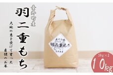 ≪令和6年産≫ 岐阜県産羽二重もち10kg（5kg×2）