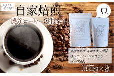 【自家焙煎】カフェ・フランドル厳選コーヒー3種セット（100g×3・豆）