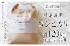 【令和6年産】【１２カ月定期便】岐阜県産コシヒカリ 10kg(合計１２０kg)
