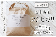 【令和6年産】 【１２カ月定期便】 岐阜県産 コシヒカリ ５kg(合計６０kg)